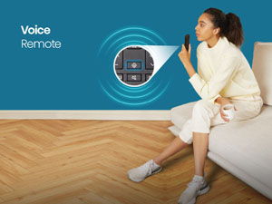 Voice Remote